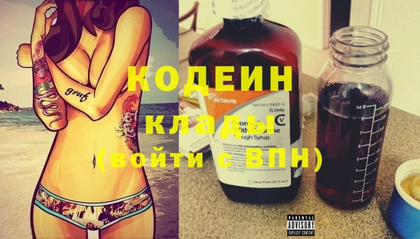 ПСИЛОЦИБИНОВЫЕ ГРИБЫ Верея
