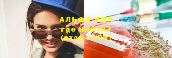 ПСИЛОЦИБИНОВЫЕ ГРИБЫ Верея