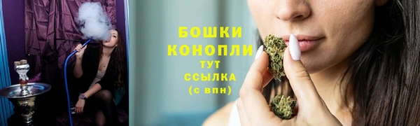 ПСИЛОЦИБИНОВЫЕ ГРИБЫ Верея