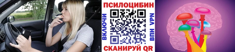 мега ссылки  Калачинск  Псилоцибиновые грибы Cubensis 
